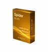 Spider Algo