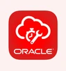 Oracle Field Service
