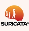 Suricata
