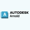 Autodesk Arnold-