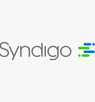 Syndigo