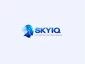 SKY IQ Expense