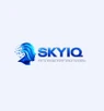 SKY IQ Expense