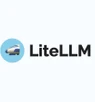 LiteLLM