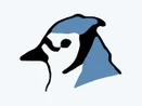BlueJ
