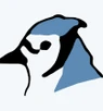 BlueJ