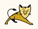 Apache Tomcat