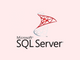 Microsoft SQL Server Standard Edition (MOLP)