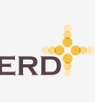 ERDPlus
