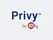Privy DPDP