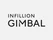 Infillion Gimbal