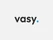 VasyERP Software