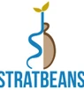 Stratbeans LMS