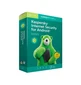 Kaspersky Internet Security For Android-Mobile Security Software