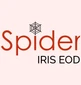 Spider IRIS EOD-Stock Market Software
