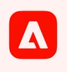 Adobe Audience Manager 