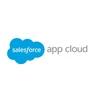 Salesforce Platform
