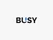 Busy Accounting Software