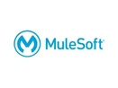 Mulesoft Anypoint Platform