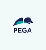 Pega Crm