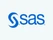 Sas Fraud Management