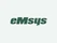 eMsys AutoNet