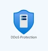 Azure DDoS Protection