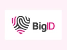 BigID BigID