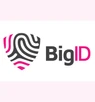 BigID 