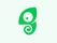Chameleon
