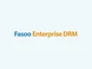Fasoo Enterprise DRM