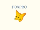 Visual Foxpro Visual Foxpro