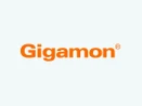 Gigamon Gigamon