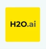 H2O ai