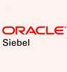 Siebel CRM