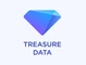 Treasure Data