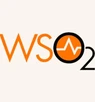 Wso2 Api Manager 