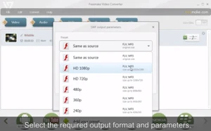 Freemake different output formats