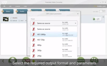 Freemake different output formats