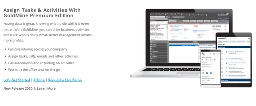 goldmine-assign-tasks
