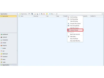 infoflo crm-customfields