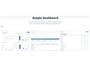 Kissmetrics-Simple dashboard