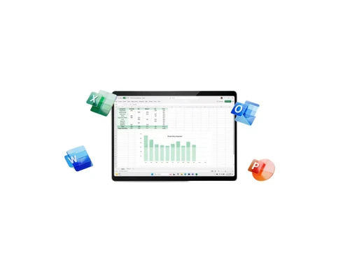 Microsoft Office Home & Business excel