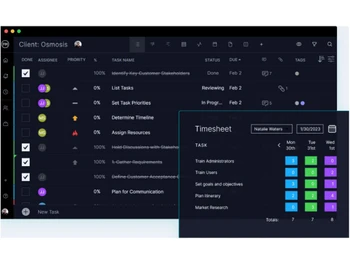 ProjectManager professional services