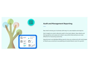 Theranest-Audit and Management Reporting