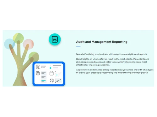 Theranest-Audit and Management Reporting