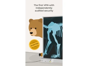Tunnelbear audited security