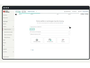 turbo-tax-tax-filling-software-entries