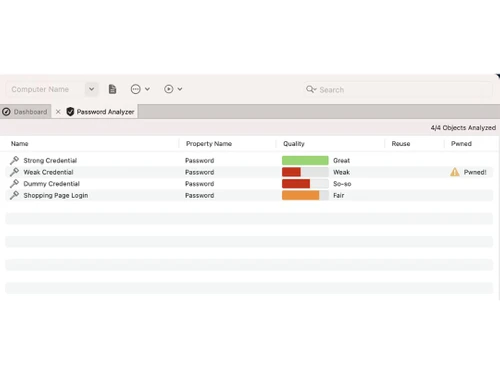 Royal Passwords analyzer