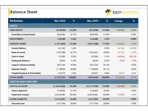 EasyReports balancesheet